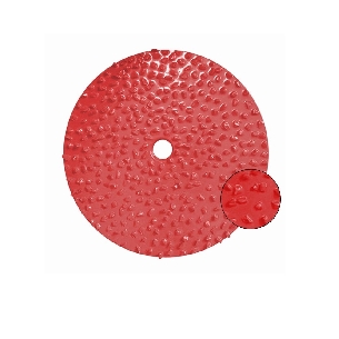 Disque abrasif en carbure de tungstène diamètre 125mm Raimondi- Grana: 16 -0