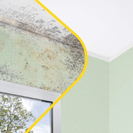 Spray antimuffa 500 ml Active1 Fila -2