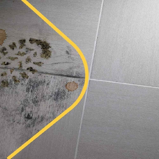 Detergente per pulire professionale PS87 Pro Fila -4