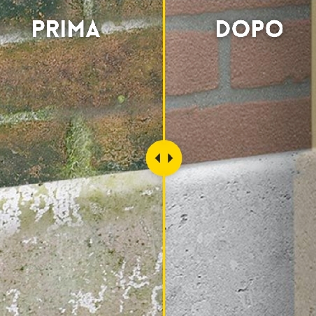 Detergente antialghe per esterni Algae Net Fila -2