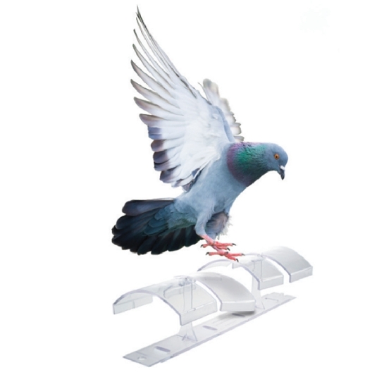 Dissuasore per piccioni 25cm Pigeon Free System -2