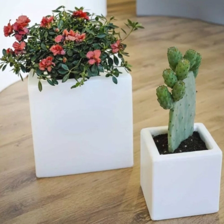 Vaso colorato da interni per piante e fiori Ellenico 15 Kloris -16