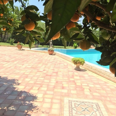 copy of Cotto Siciliano Rustico 15x30x2.4sp Migliore 1mq -3