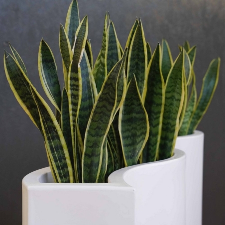 Vaso giardino ad onda 90x40cm POST55 Kloris -1