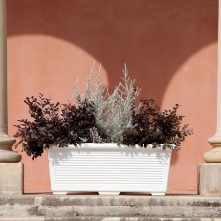 Fioriera rettangolare 80x39 cm millerighe Kloris -4