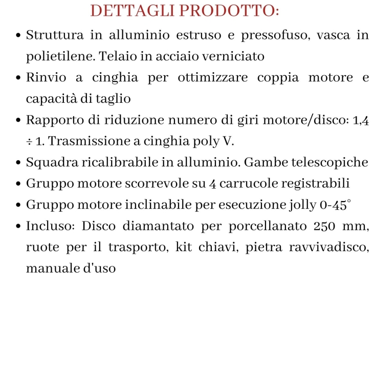 Segatrice con motore scorrevole Pikus 130 Advanced Raimondi -4