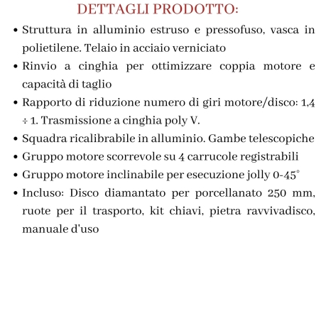 Segatrice con motore scorrevole Pikus 130 Advanced Raimondi -4