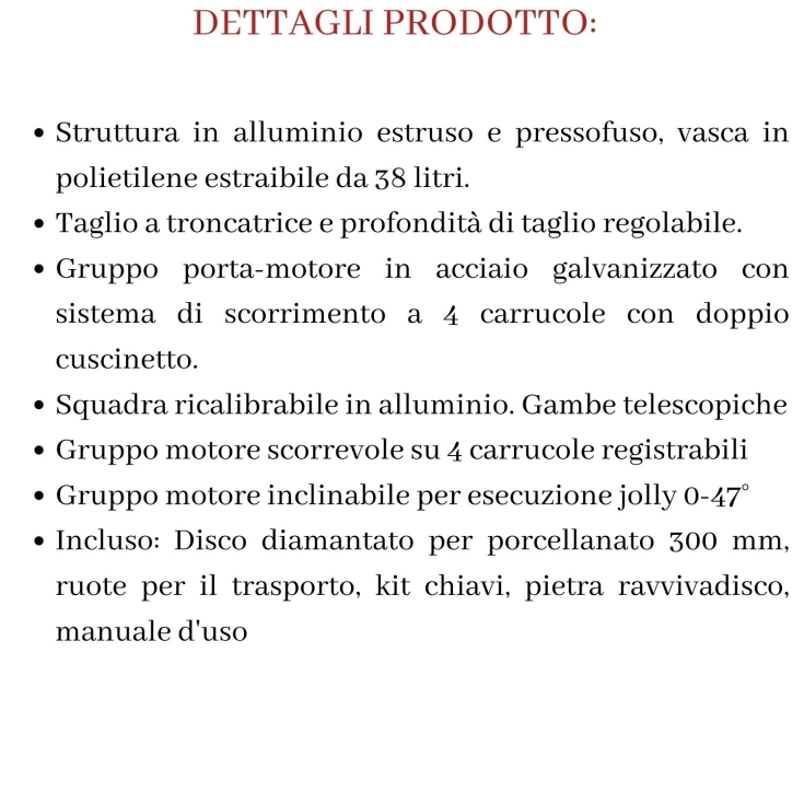 Segatrice a motore scorrevole SMS 100 Raimondi -14