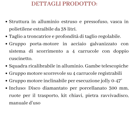 Segatrice a motore scorrevole SMS 125 Raimondi -12