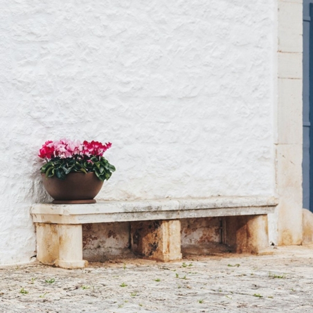 Vaso piante e fiori a ciotola Atena Monacis Ø 45 cm -3