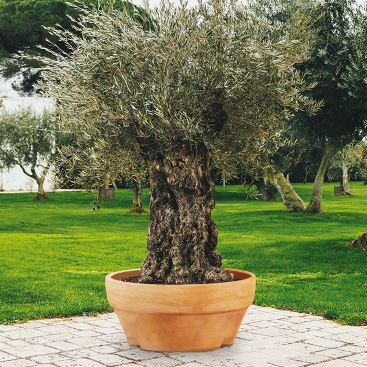 Vaso da giardino 120 cm Ursus Monacis -4