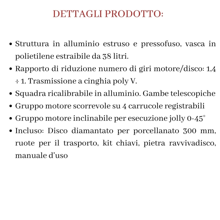 Segatrice a motore e carrello scorrevole 420105A Zoe 105 Advanced Monofase Raimondi -2