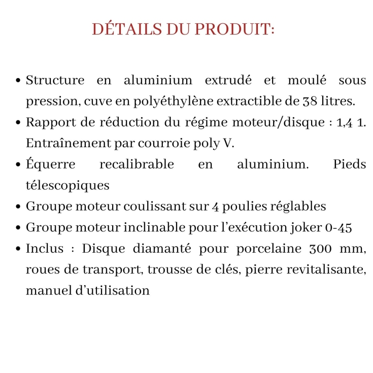 Segatrice a motore e carrello scorrevole Zoe 105 Advanced Raimondi -7