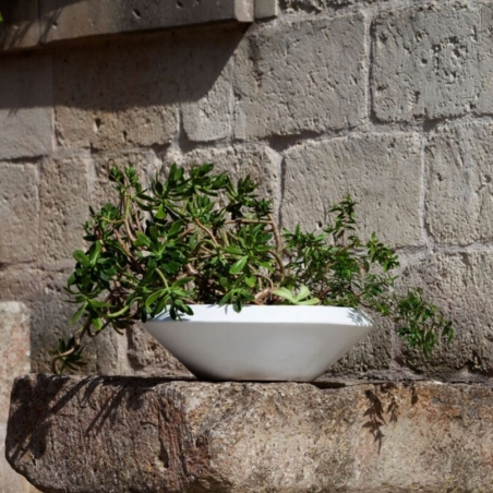 Vaso tondo in polietilene Olimpico 70 Kloris -26