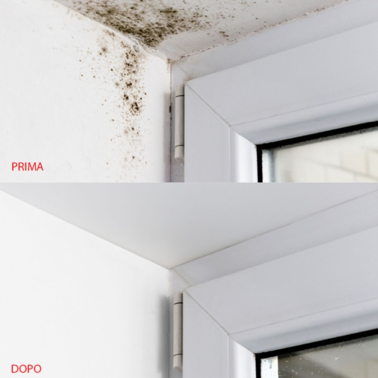 Stucco anticondensa in pasta ISOLXTREM RX-317 BaixensBAIXENS