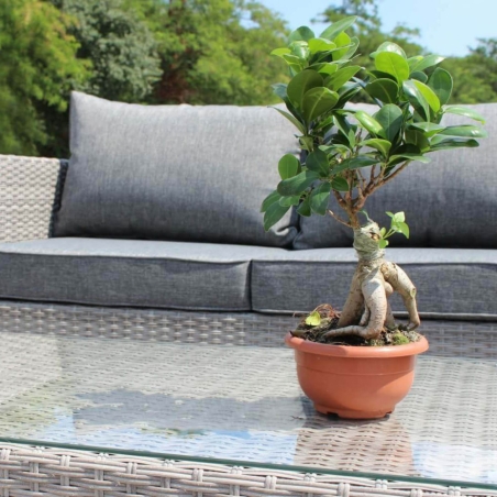 Salotto Cile 2 P C/Cuscini -3