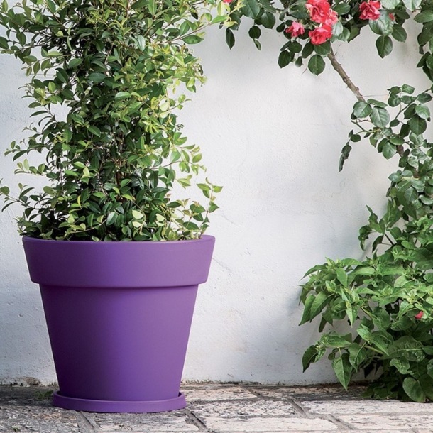 Sottovaso per Gemma Monacis -1