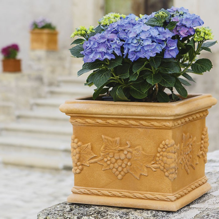 Fioriera quadrata in polietilene 20h cm Quadro Uva Monacis -1