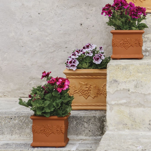 Fioriera quadrata in polietilene 20h cm Quadro Uva Monacis -3