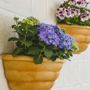 Gerla a parete 50x27cm in polietilene Thea Rome Monacis -1