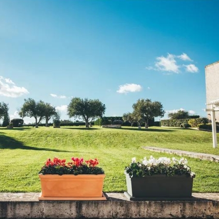 Fioriera rettangolare 100x47cm in polietilene liscia Rome Monacis -9