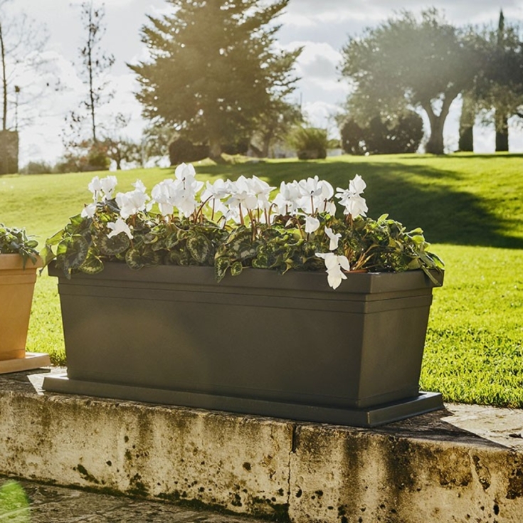 Fioriera rettangolare 80x40cm in polietilene liscia Rome Monacis -7