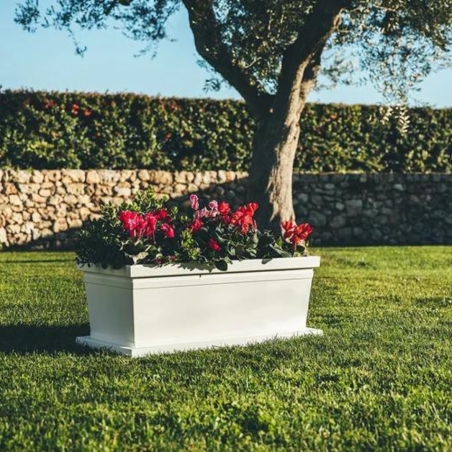 Fioriera rettangolare 80x40cm in polietilene liscia Rome Monacis -8