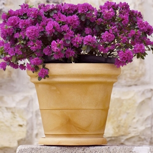 Vaso da giardino Ø 65 cm doppiobordo liscio 70 Rome Monacis -5