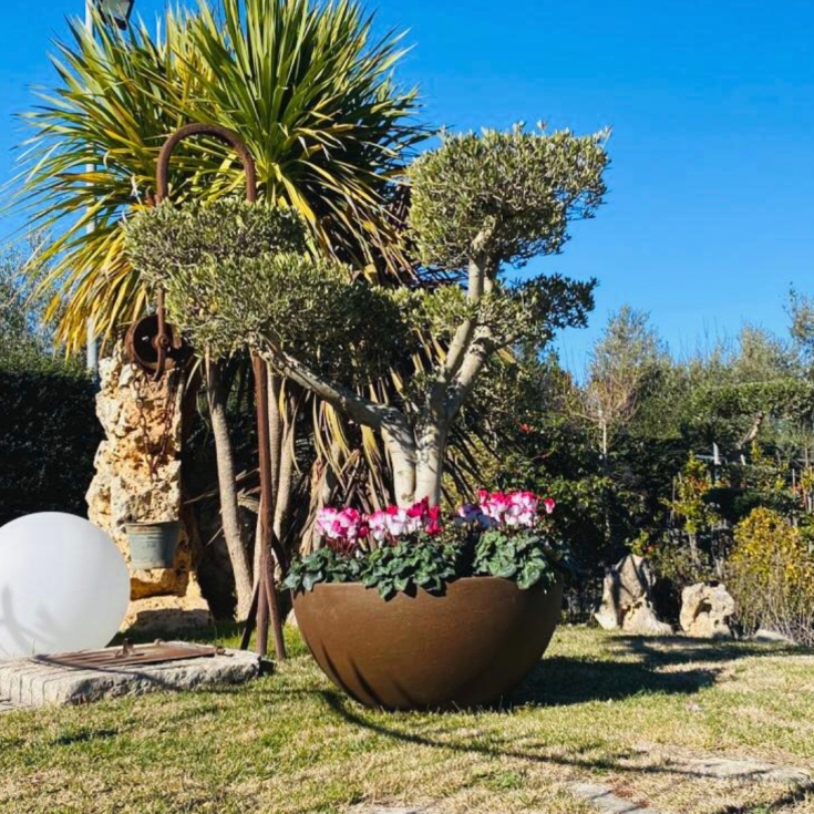 Vaso piante e fiori a ciotola Atena Monacis Ø 45 cm -5