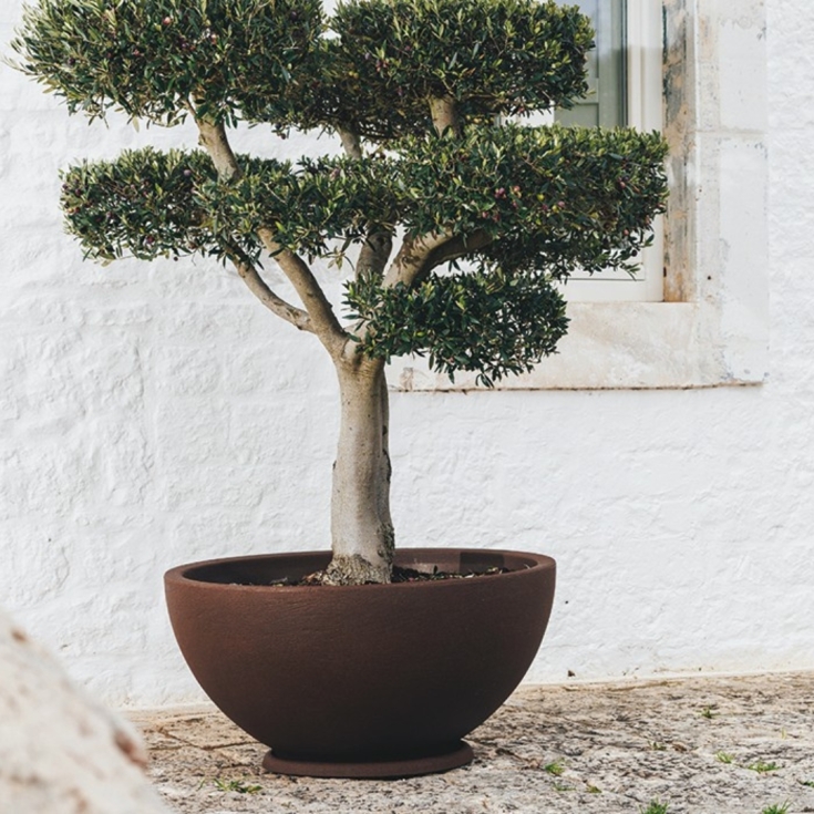 Vaso piante e fiori a ciotola Atena Monacis Ø 85 cm -9