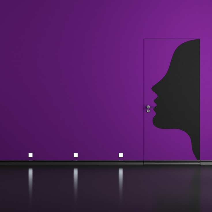 Porte à fleur de mur 80x210cm Scrigno Filo44 -2