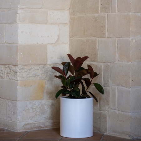 Vaso colorato in polietilene Barocco 40 Kloris -9