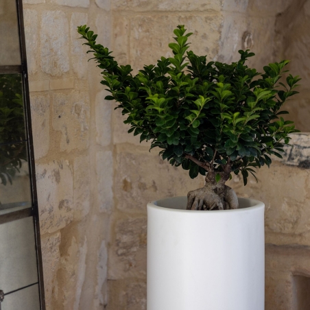 Portavaso in polietilene colorato Barocco h40cm -30