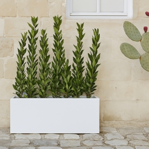 Portavaso da esterno rettangolare 100x40cm Matera Monacis -1