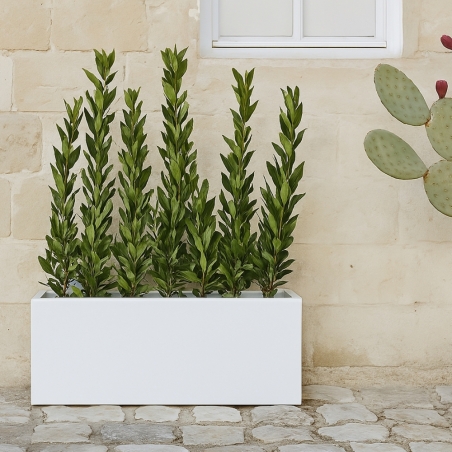 Portavaso da esterno rettangolare 100x40cm Matera Monacis -1