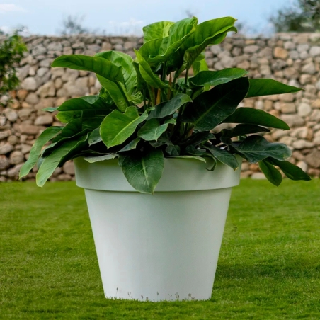 Vaso tutta capienza rotondo 100 cm e alto 89 cm in polietilene Romano Kloris -3