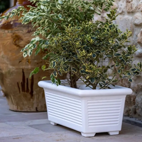 Fioriera rettangolare 100x48 cm millerighe Kloris -4