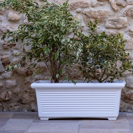 Fioriera rettangolare 80x39 cm millerighe Kloris -2