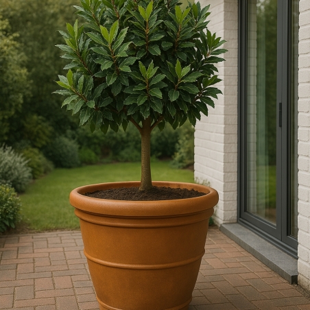 Vaso da giardino Ø 90 cm doppiobordo liscio 90 Rome Monacis -2