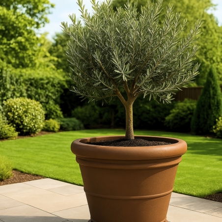 Vaso da giardino Ø 90 cm doppiobordo liscio 90 Rome Monacis -6