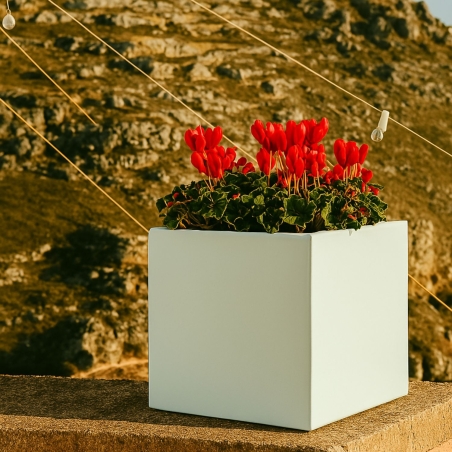 Vaso da giardino colorato quadrato 40 cm Cube Monacis -7