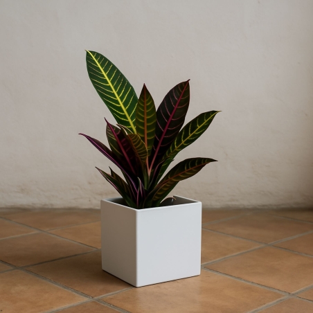 Vaso colorato da interni per piante e fiori Ellenico 15 Kloris -11