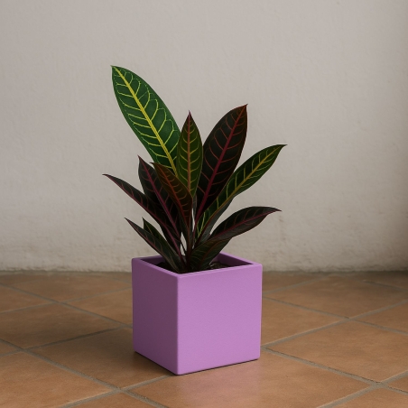 copy of Vaso colorato da interni per piante e fiori Ellenico 15 Kloris -6