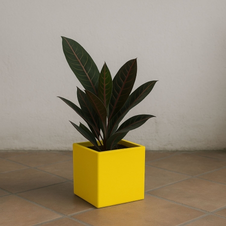 copy of Vaso colorato da interni per piante e fiori Ellenico 15 Kloris -7