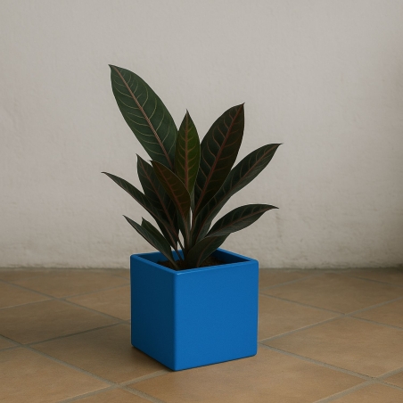 copy of Vaso colorato da interni per piante e fiori Ellenico 15 Kloris -5