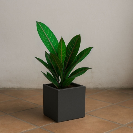 copy of Vaso colorato da interni per piante e fiori Ellenico 15 Kloris -8