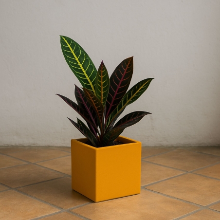 copy of Vaso colorato da interni per piante e fiori Ellenico 15 Kloris -12