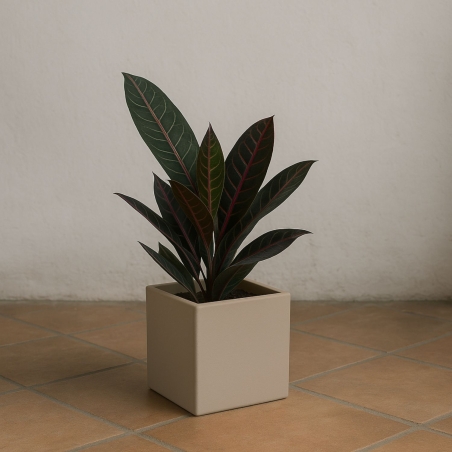 copy of Vaso colorato da interni per piante e fiori Ellenico 15 Kloris -9