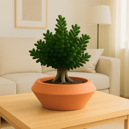 Vaso tondo in polietilene Olimpico 50 -4