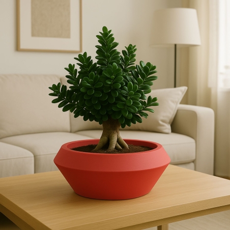 Vaso a ciotola 60x27cm in polietilene Olimpico 60 Kloris -4